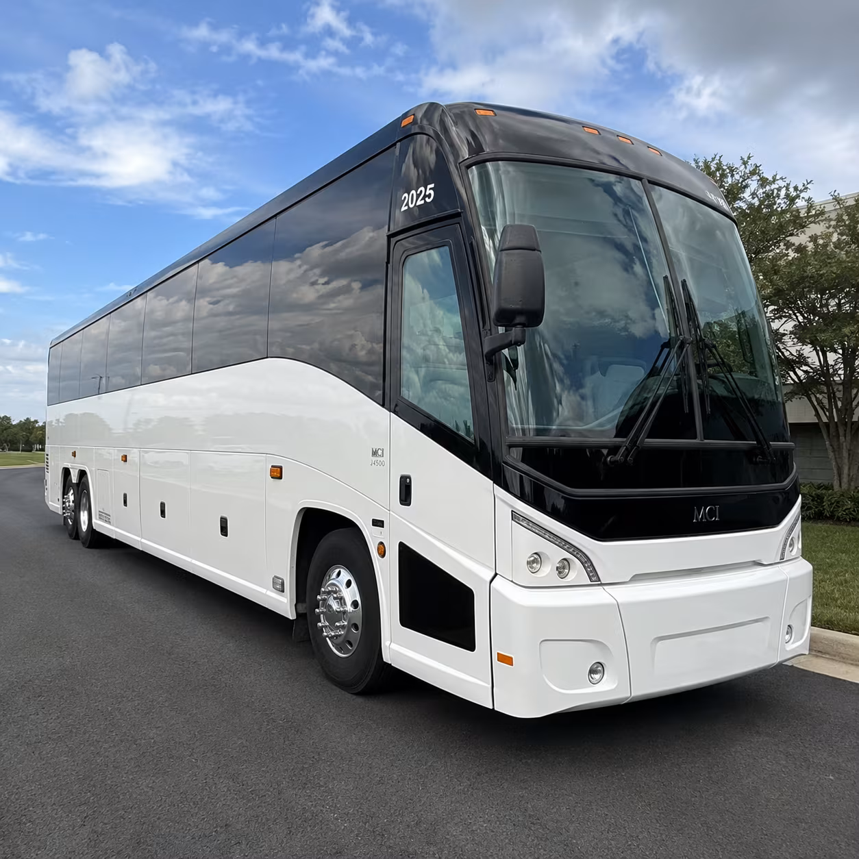 minibus rentals for quiet waters park flamingo gardens and everglades day trips